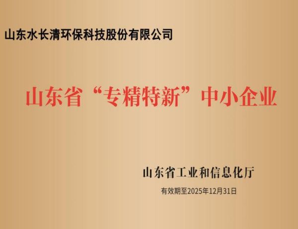 Специальное нов